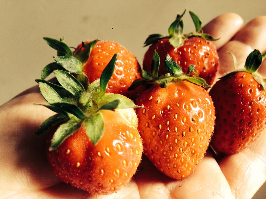 Strawberries_1