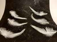 White_diamond_feathers